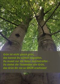 Grün ist nicht gleich grün